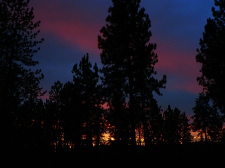 Upheld In Being Present