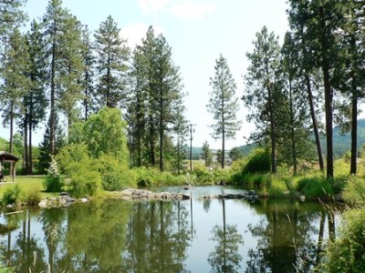 Post Falls Garden 2012