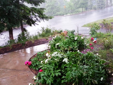 Upheld In A Downpour