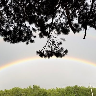 Upheld in Baseball and Rainbows