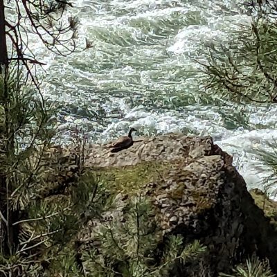 Upheld in Doing Nothing