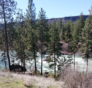 Upheld in The River of Life