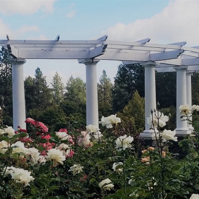 Upheld In Construction and Redesign