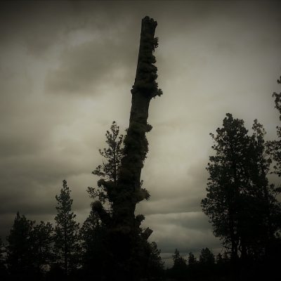 Upheld When You Just Can’t Pray