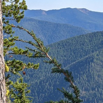 Upheld In Platitudes