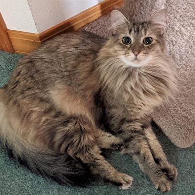 Upheld In Dreaded Things