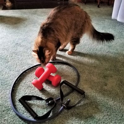 Upheld In Workout Friendships