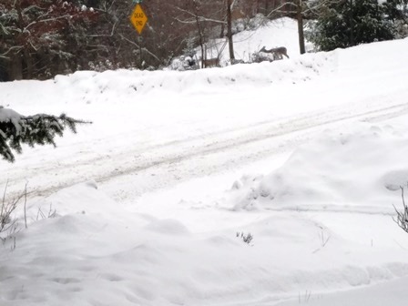 Upheld In Praying Snow Passes Soon