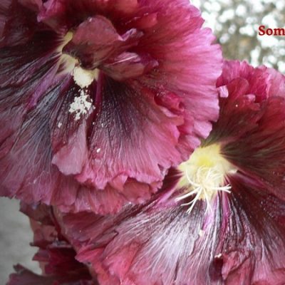 Upheld in Resurrection Weekend