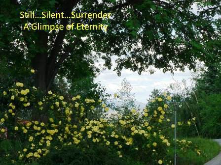 Upheld in A Glimpse of Eternity