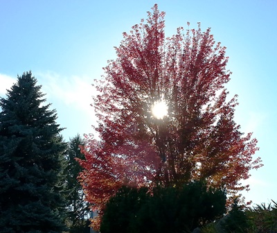 Upheld In Looking to the Promise