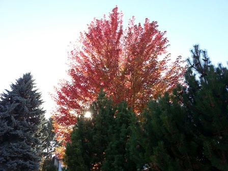 Upheld In Thoughts of Time