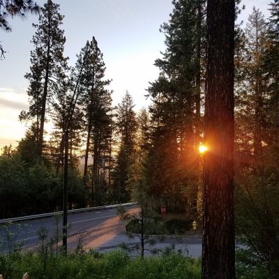 Upheld In Fulfilled Promise