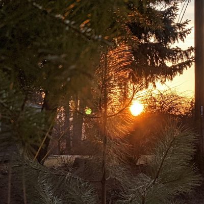 Upheld In True Light