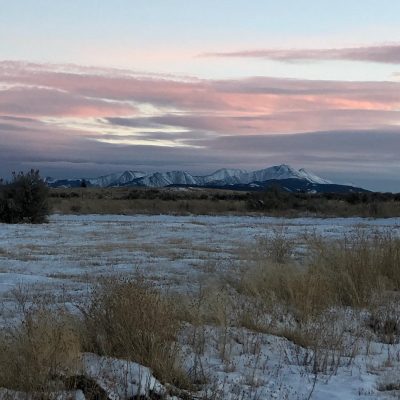 Upheld in Confidence