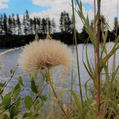 Upheld in Real ScrewUps