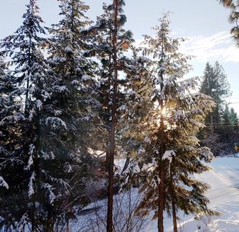 Upheld In Eternal Hope