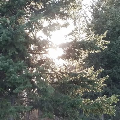 Upheld In Triumphal Questions