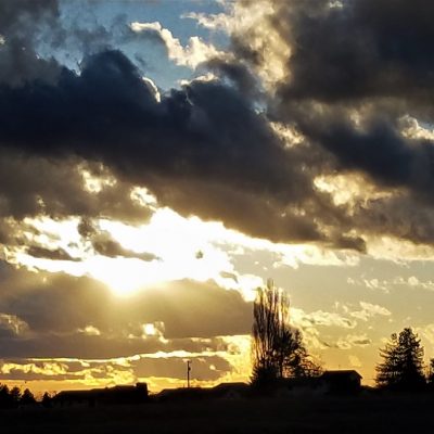 Upheld In Hope For The Future