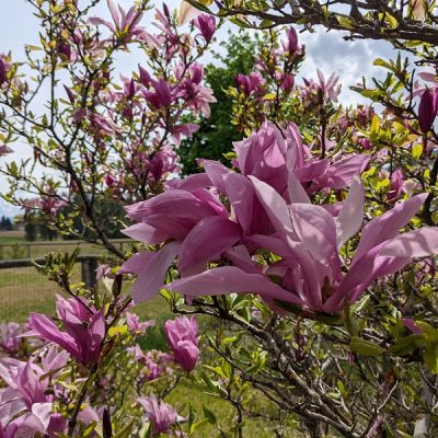 Upheld In Being Grounded