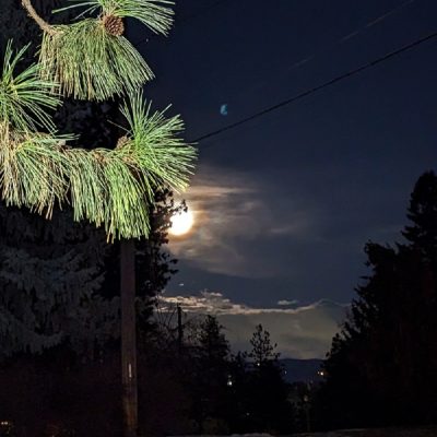 Upheld In An Unspoken Cry