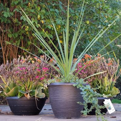 Upheld In Completion