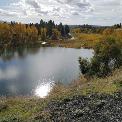 Upheld in The Climb to the Top