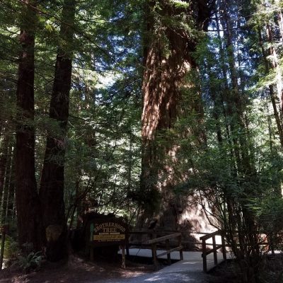 Upheld In The Cool of the Day