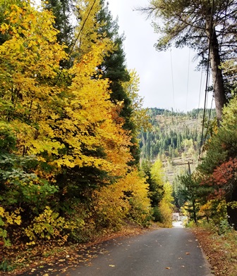 wallace-fall-road-web