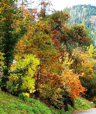 Upheld In Saying No…Yes…