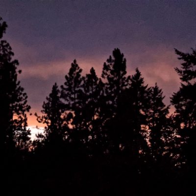 Upheld Even In Upside Down