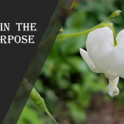 Upheld In The Main Purpose