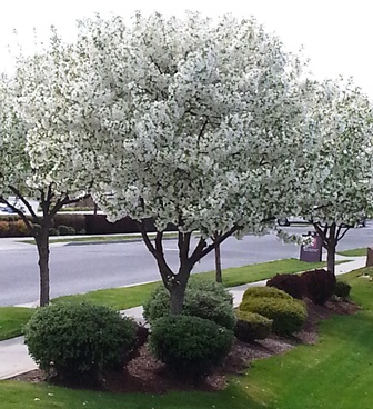 Upheld In Things I learned from Mom