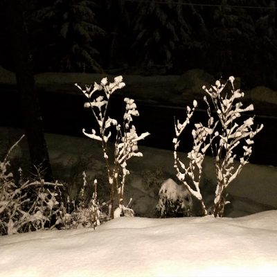 Upheld In Making Tracks