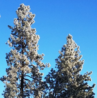 Upheld In A Fresh Start