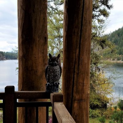 Upheld In Being Captured