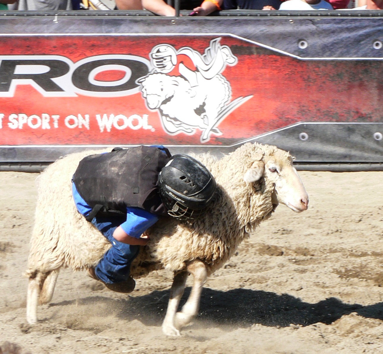 Upheld In Trying Again…and Again