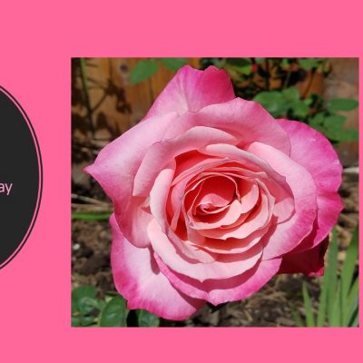 Upheld in Legacy Generations