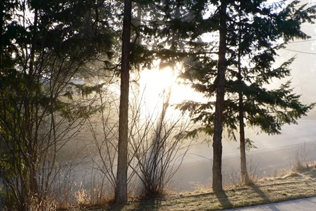 Upheld In All There Is